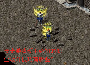 传奇游戏新手必知的职业战斗技巧有哪些? 传奇游戏新手必知的职业战斗技巧有哪些?
