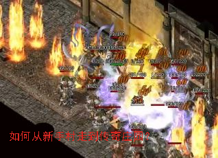 如何从新手村走到传奇庄园? 如何从新手村走到传奇庄园?