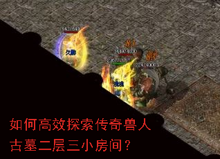 ��θ�Ч̽���������˹�Ĺ������С���䣿