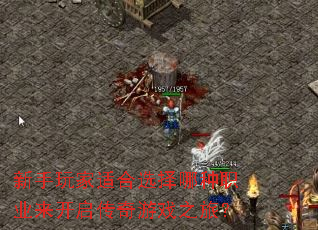 新手玩家适合选择哪种职业来开启传奇游戏之旅? 新手玩家适合选择哪种职业来开启传奇游戏之旅?