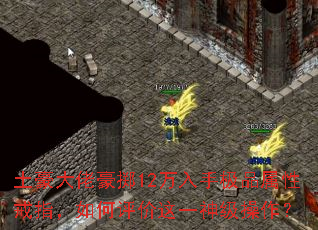 土豪大佬豪掷12万入手极品属性戒指,如何评价这一神级操作? 土豪大佬豪掷12万入手极品属性戒指,如何评价这一神级操作?