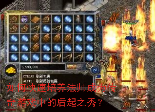 ��ο���������ʦ��Ϊ������Ϸ�еĺ���֮�㣿