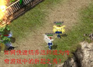 ��ο���������ʦ��Ϊ������Ϸ�еĺ���֮�㣿