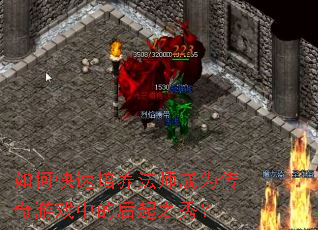 ��ο���������ʦ��Ϊ������Ϸ�еĺ���֮�㣿