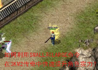 如何利用SMALL和LARGE命令在3KM2传奇中快速提升角色实力? 如何利用SMALL和LARGE命令在3KM2传奇中快速提升角色实力?