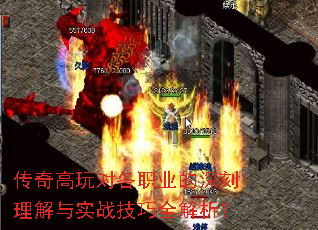 �������Ը�ְҵ�����������ʵս����ȫ������