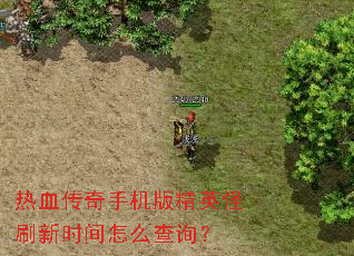 ��Ѫ�����ֻ��澫Ӣ��ˢ��ʱ����ô��ѯ��