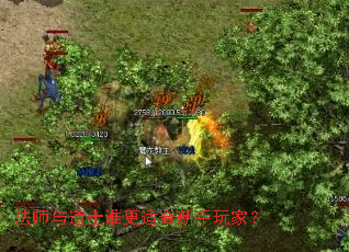 法师与道士谁更适合新手玩家? 法师与道士谁更适合新手玩家?