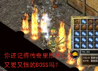 �㻹�ǵô�������Щ�����ְ��ֺ޵�BOSS��