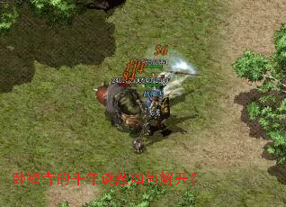 卧禅寺的千年谜题如何解开? 卧禅寺的千年谜题如何解开?