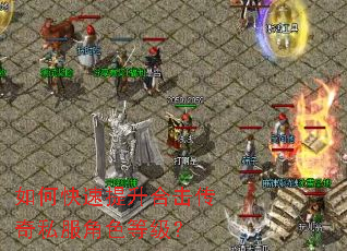 如何快速提升合击传奇私服角色等级? 如何快速提升合击传奇私服角色等级?