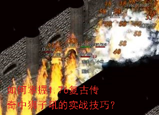 �������1.76���Ŵ�����ʨ�Ӻ��ʵս���ɣ�