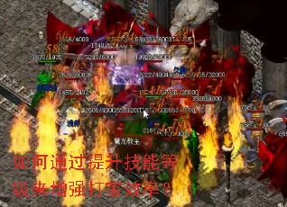 如何通过提升技能等级来增强打宝效率? 如何通过提升技能等级来增强打宝效率?