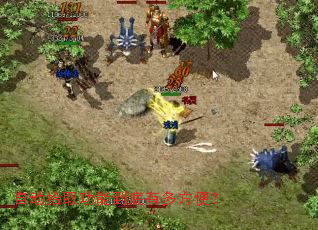 �Զ�ʰȡ���ܵ����ж෽�㣿