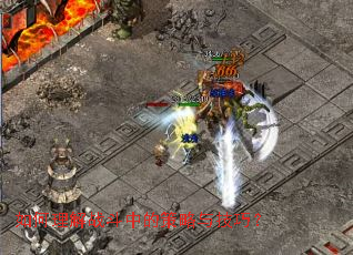 �������ս���еĲ����뼼�ɣ�