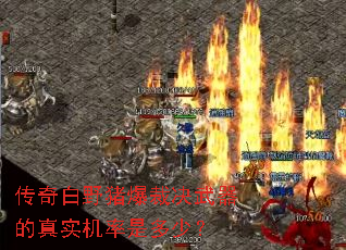 传奇白野猪爆裁决武器的真实机率是多少? 传奇白野猪爆裁决武器的真实机率是多少?