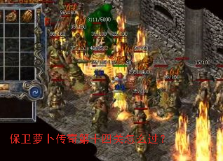 保卫萝卜传奇第十四关怎么过? 保卫萝卜传奇第十四关怎么过?