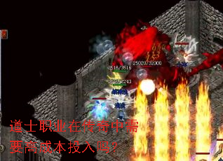 道士职业在传奇中需要高成本投入吗? 道士职业在传奇中需要高成本投入吗?