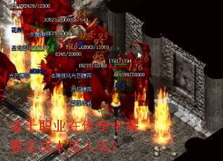 道士职业在传奇中需要高成本投入吗? 道士职业在传奇中需要高成本投入吗?