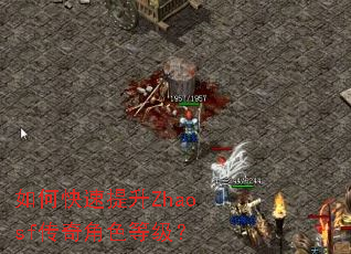 如何快速提升Zhaosf传奇角色等级? 如何快速提升Zhaosf传奇角色等级?