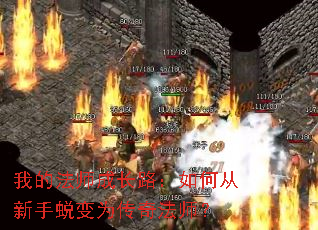 我的法师成长路:如何从新手蜕变为传奇法师? 我的法师成长路:如何从新手蜕变为传奇法师?