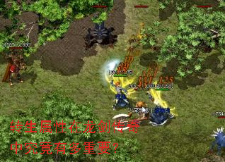 转生属性在龙剑传奇中究竟有多重要? 转生属性在龙剑传奇中究竟有多重要?