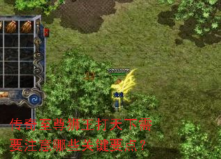 传奇至尊狮王打天下需要注意哪些关键要点? 传奇至尊狮王打天下需要注意哪些关键要点?