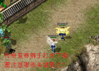 传奇至尊狮王打天下需要注意哪些关键要点? 传奇至尊狮王打天下需要注意哪些关键要点?