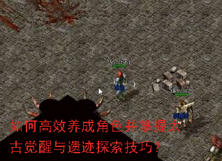 如何高效养成角色并掌握太古觉醒与遗迹探索技巧? 如何高效养成角色并掌握太古觉醒与遗迹探索技巧?