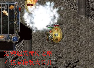 宠物速成传奇之路?独家秘笈大公开 宠物速成传奇之路?独家秘笈大公开