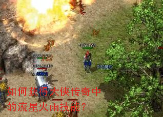 如何获得大侠传奇中的流星火雨技能? 如何获得大侠传奇中的流星火雨技能?