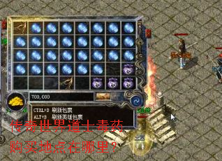 传奇世界道士毒药购买地点在哪里? 传奇世界道士毒药购买地点在哪里?