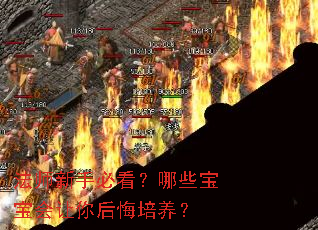 法师新手必看?哪些宝宝会让你后悔培养? 法师新手必看?哪些宝宝会让你后悔培养?