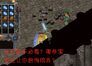 法师新手必看?哪些宝宝会让你后悔培养? 法师新手必看?哪些宝宝会让你后悔培养?