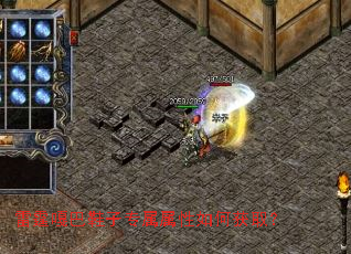 �����°�Ь��ר��������λ�ȡ��