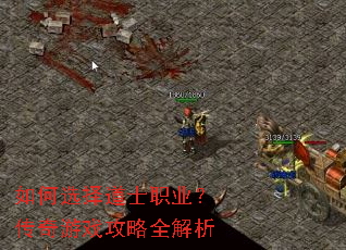 如何选择道士职业?传奇游戏攻略全解析 如何选择道士职业?传奇游戏攻略全解析