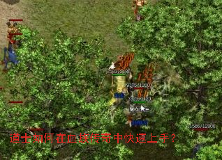 道士如何在血族传奇中快速上手? 道士如何在血族传奇中快速上手?