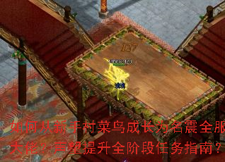 ��δ����ִ����ɳ�Ϊ����ȫ���Ĵ��У���������ȫ�׶�����ָ�ϣ�