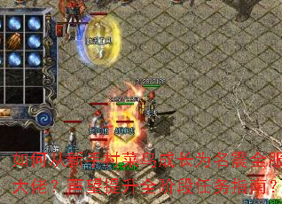 ��δ����ִ����ɳ�Ϊ����ȫ���Ĵ��У���������ȫ�׶�����ָ�ϣ�