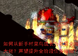 ��δ����ִ����ɳ�Ϊ����ȫ���Ĵ��У���������ȫ�׶�����ָ�ϣ�