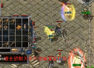 道士初期为何不依赖宝宝打怪? 道士初期为何不依赖宝宝打怪?