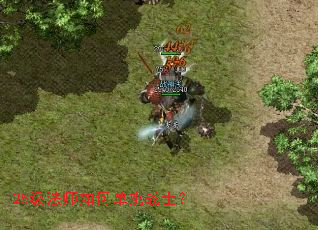 25级法师如何单挑战士? 25级法师如何单挑战士?