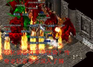 ǿ��װ������Щ���ƣ���������Ҵ��������˽�