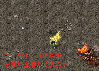 新手战士单挑沃玛教主需要注意哪些关键点? 新手战士单挑沃玛教主需要注意哪些关键点?