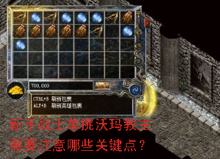 新手战士单挑沃玛教主需要注意哪些关键点? 新手战士单挑沃玛教主需要注意哪些关键点?