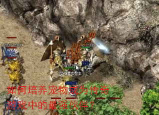 ������������Ϊ������Ϸ�е���ǿ��飿