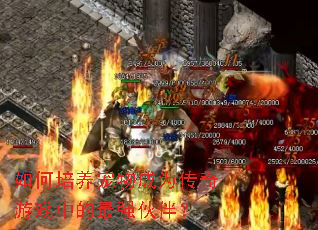 ������������Ϊ������Ϸ�е���ǿ��飿