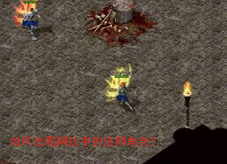 如何改观网站中的法师角色? 如何改观网站中的法师角色?