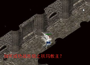 如何成功战胜暗之袄玛教主? 如何成功战胜暗之袄玛教主?