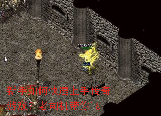 ������ο������ִ�����Ϸ����˾�������